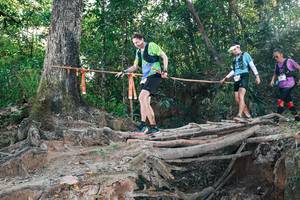 BIB: 
                            <button type="button" onclick="openModal(27305190)" class="btn btn-primary btn-sm float-right btn-popup" data-toggle="modal" data-target=".modal-high-quality">
                        <i class="fas fa-shopping-cart"></i> Add to Cart
                    </button>
                                            <button type="button" onclick="isThisMe(27305190, true)" class="btn btn-success btn-sm float-right btn-popup btn-isme hidden" data-toggle="tooltip" data-placement="bottom" title="นี่คือรูปของคุณใช่ไหม คลิกที่นี่เพื่อเอาเข้าอัลบั้ม">
                        <i class="fas fa-plus"></i> Add to album
                    </button>
                    <button type="button" onclick="isThisMe(27305190, false)" class="btn btn-warning btn-sm float-right btn-popup btn-isnotme hidden">
                        <i class="fas fa-ban"></i> Remove from album
                    </button>